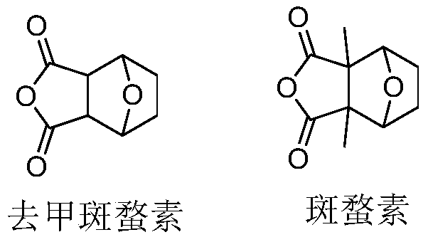 Acid-sensitive camptothecin-20-position ester derivatives and their anti-tumor applications