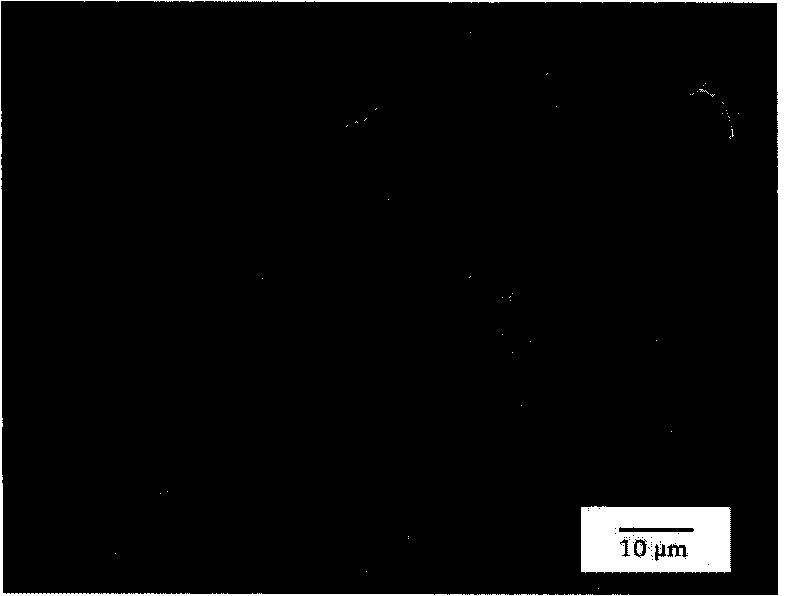 Laser synthesis method for barium tetratitanate