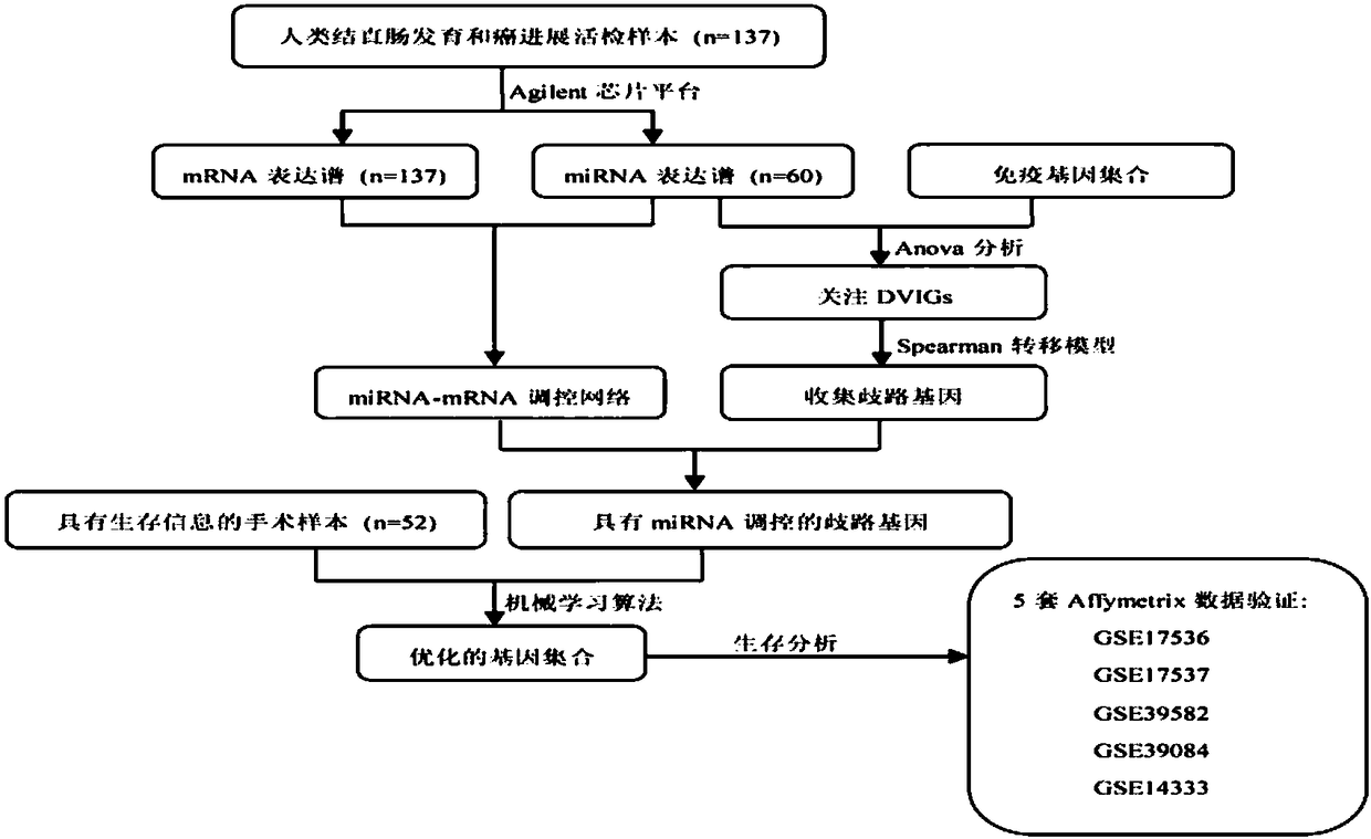 Diagnosis kit for rectal carcinoma prognosis early warning and application of diagnosis kit