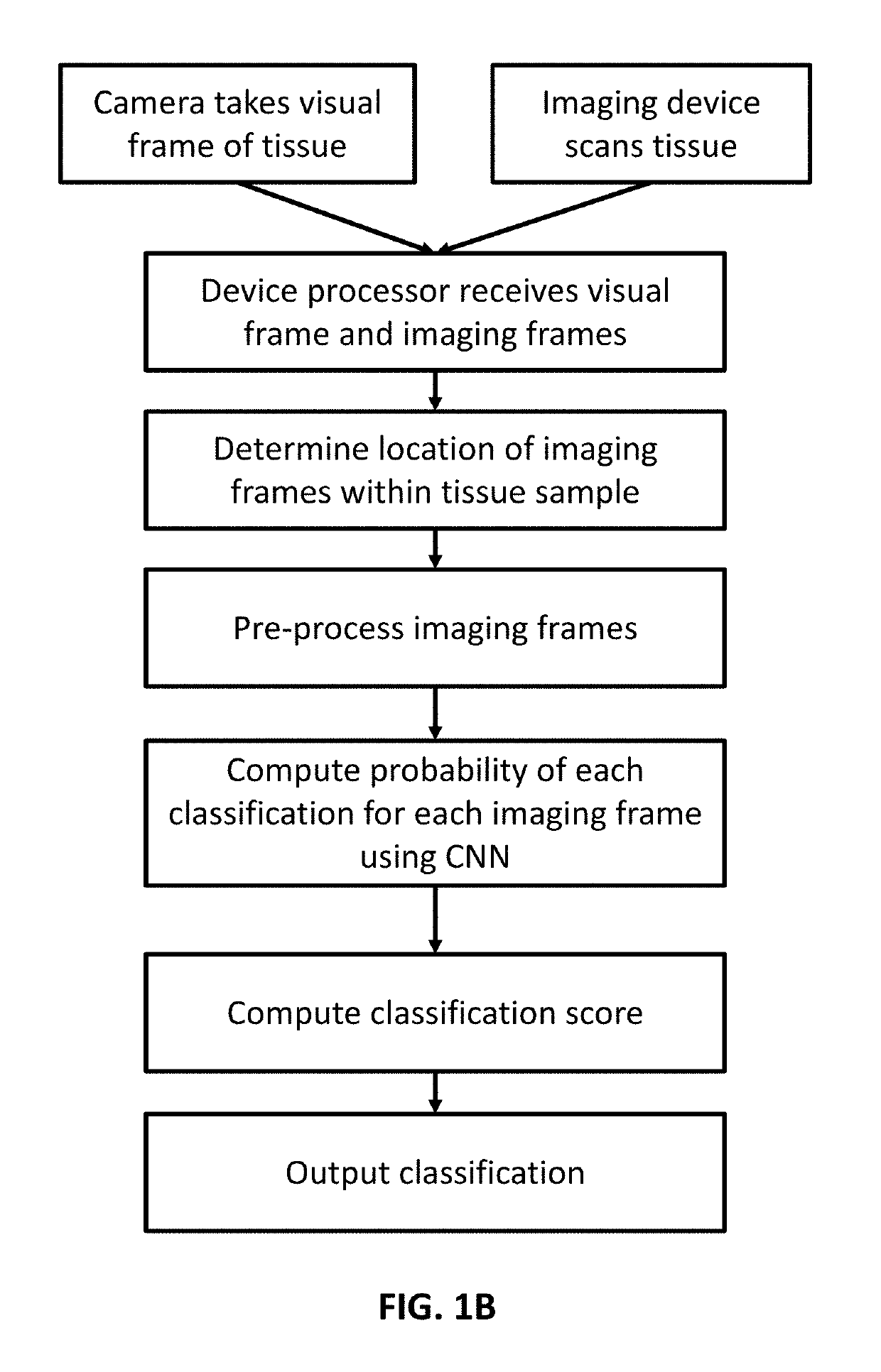 Optical coherence tomography for cancer screening and triage
