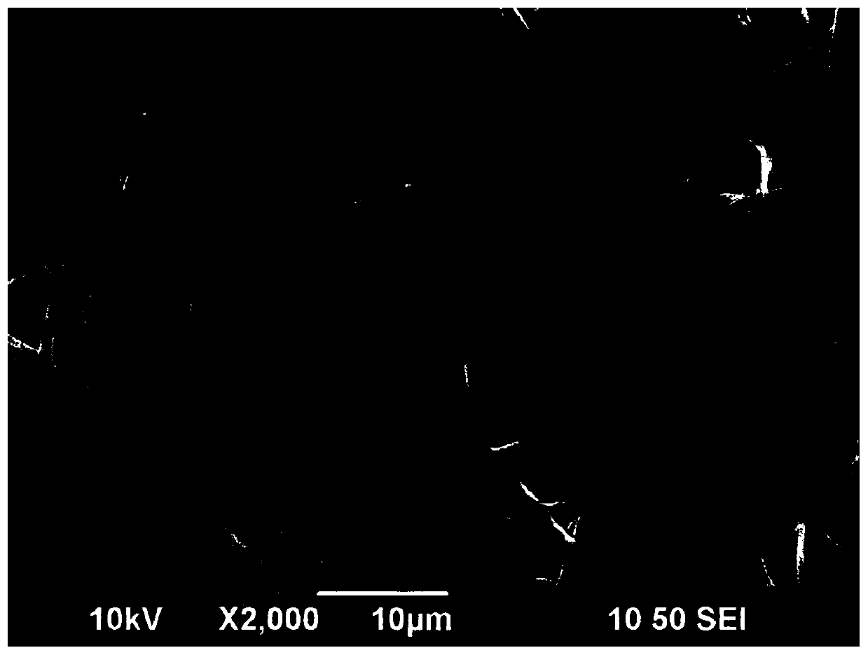 Extracellular matrix high-polymer material biological composite patch