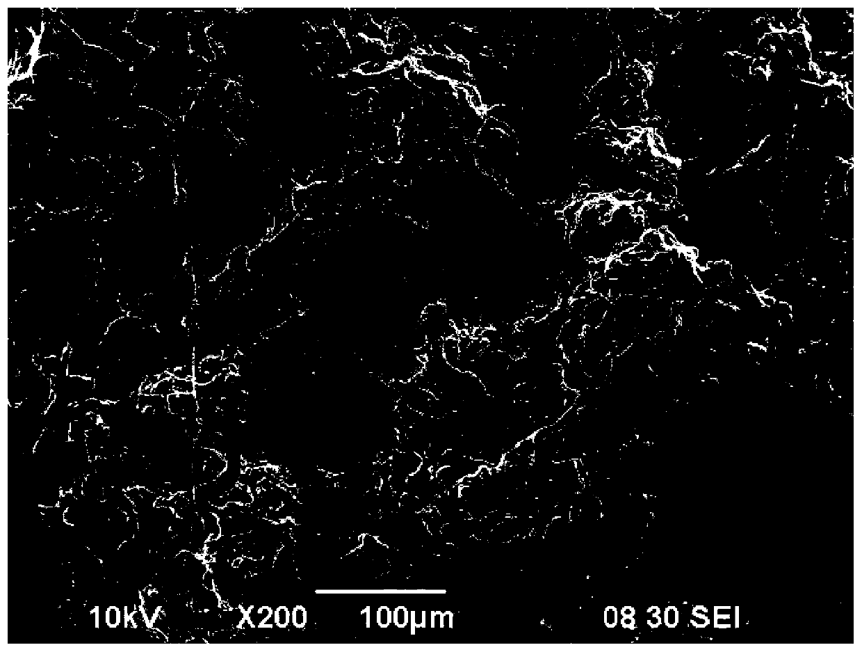 Extracellular matrix high-polymer material biological composite patch