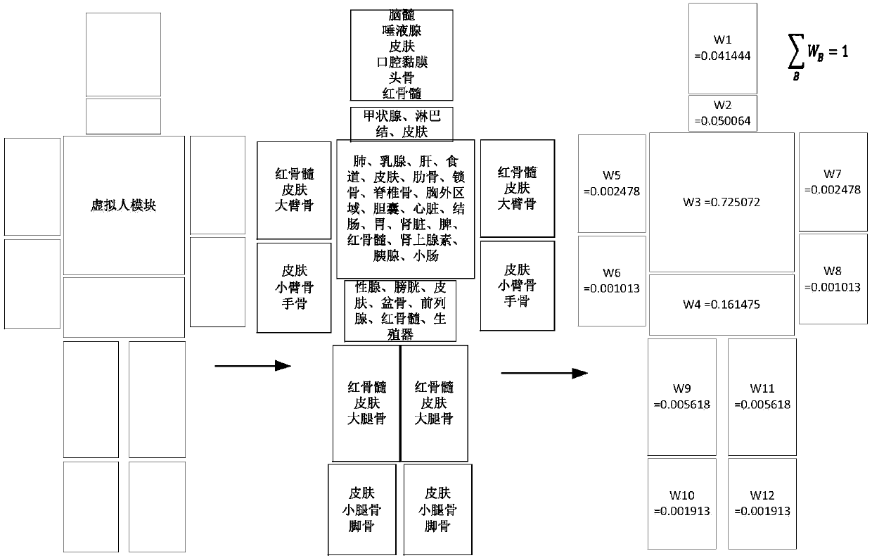 Voxel-based body external irradiation dose simulation method