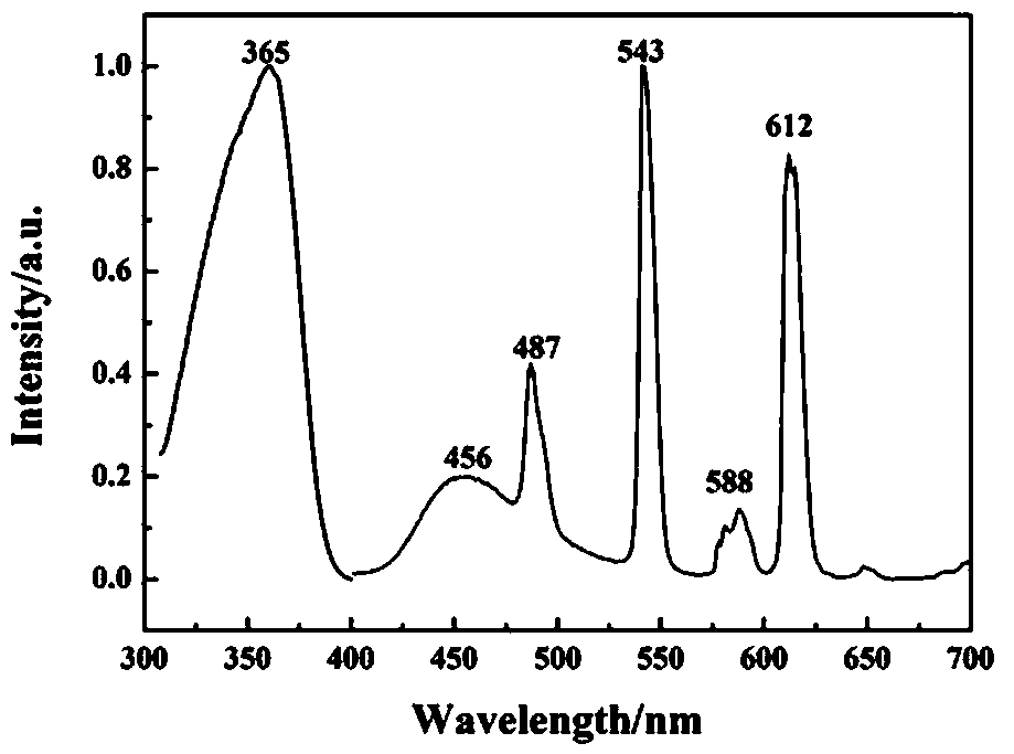 Preparation method of white light macromolecular complex fluorescent powder containing europium, terbium and zinc