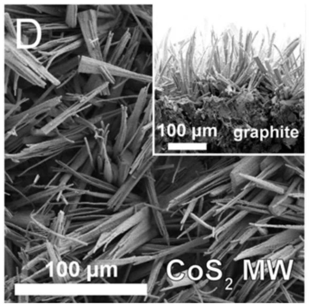 Element-doped transition metal sulfide ultrathin sheet and preparation and application thereof