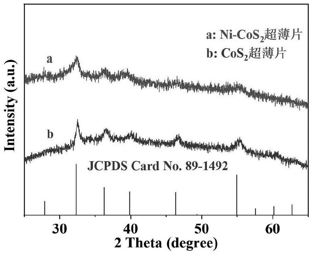 Element-doped transition metal sulfide ultrathin sheet and preparation and application thereof