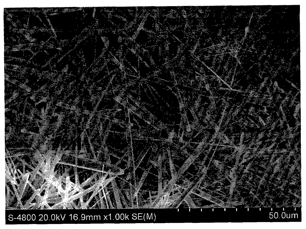 Method for preparing high-purity mullite monocrystal through kyanite concentrate at low temperature