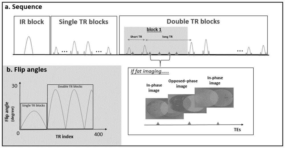 Magnetic resonance fingerprint imaging method with variable echo number