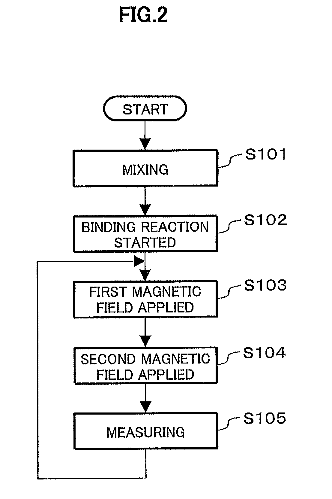 Magnetic signal measuring apparatus and magnetic signal measuring method