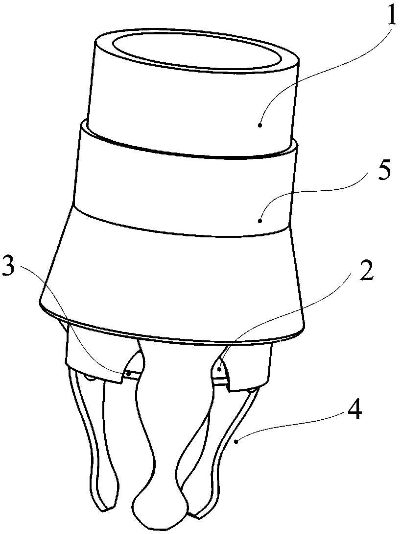 dilator for external auditory canal