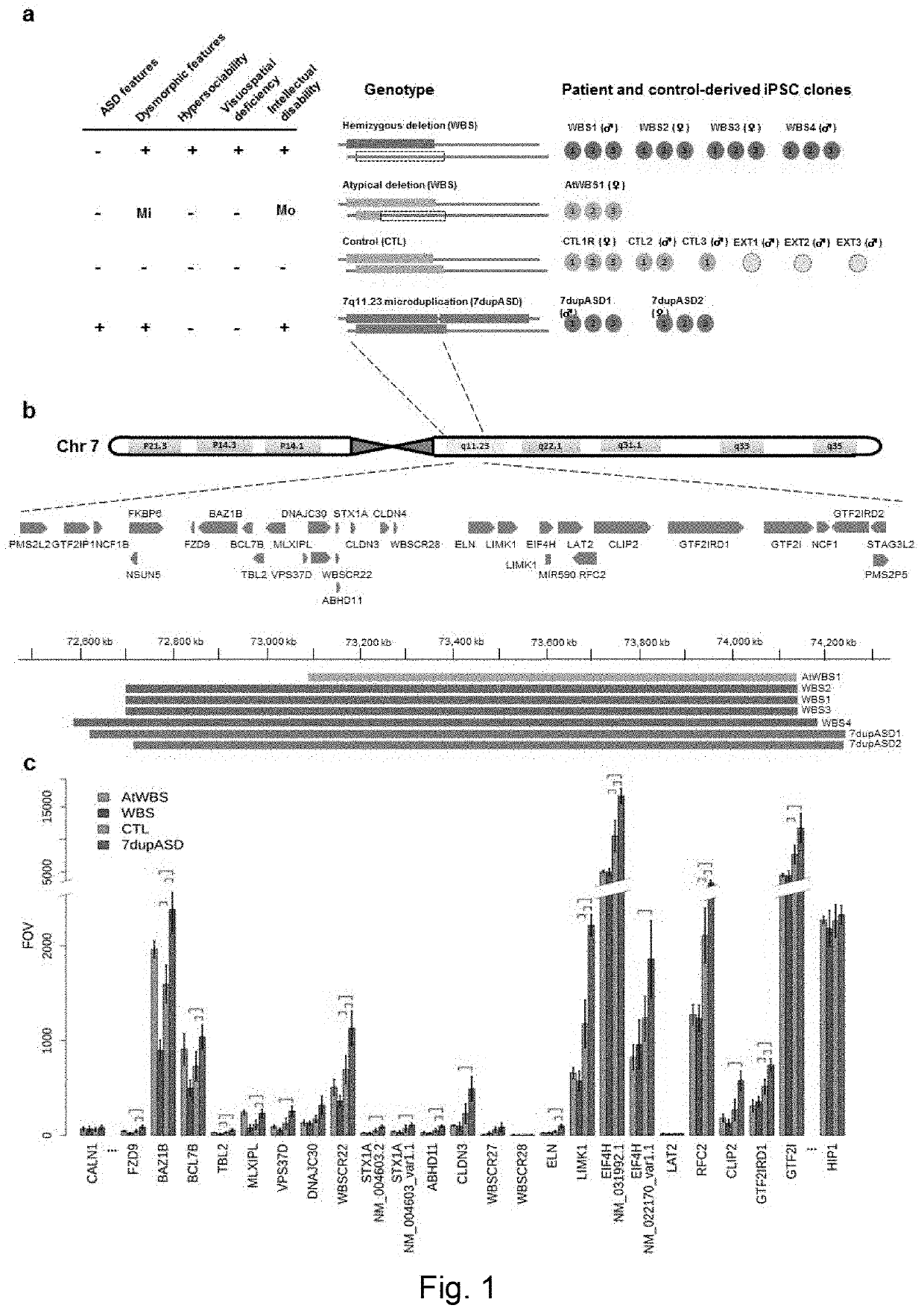 Reprogramming-based models of neurodevelopmental disorders and uses thereof