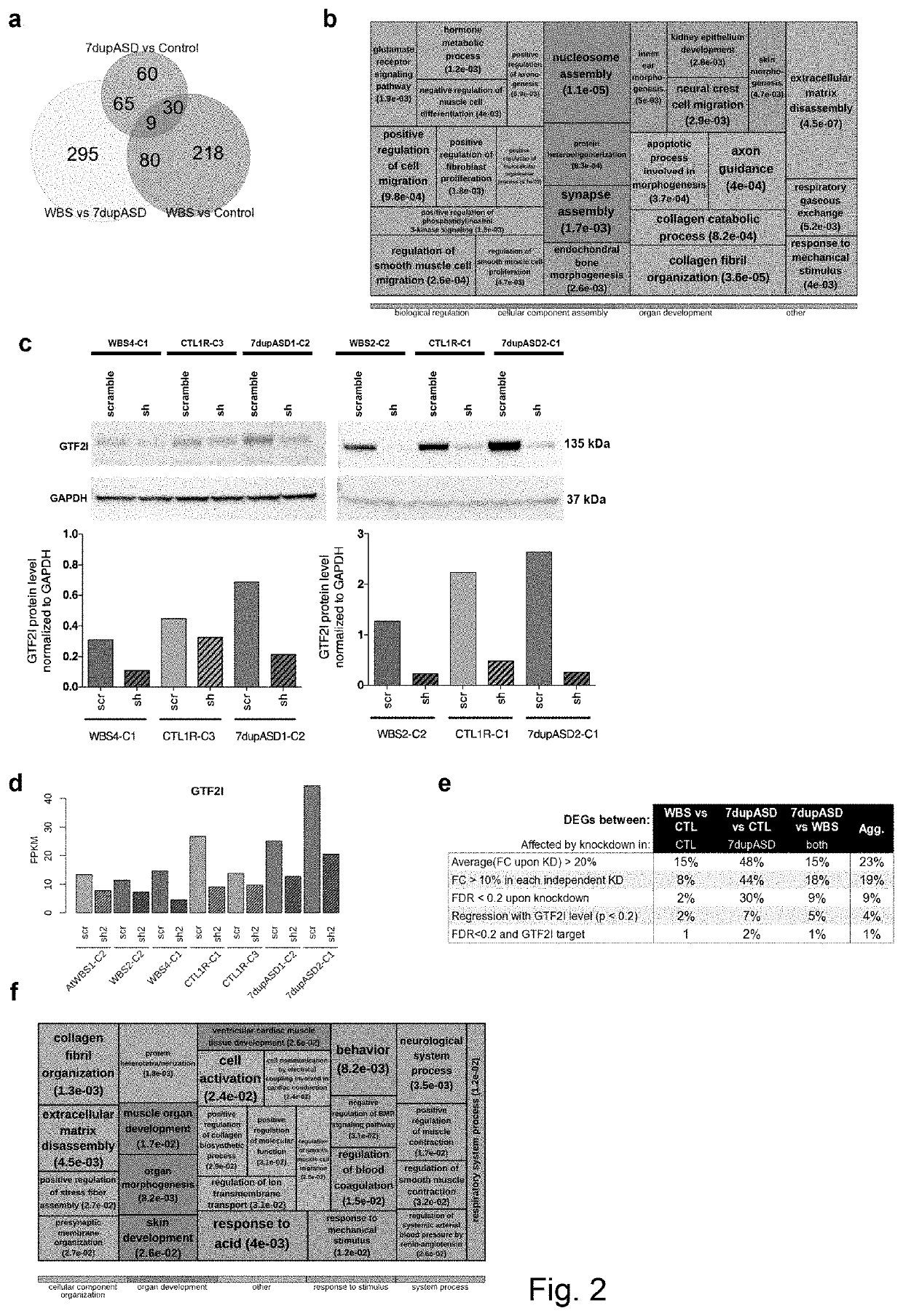 Reprogramming-based models of neurodevelopmental disorders and uses thereof