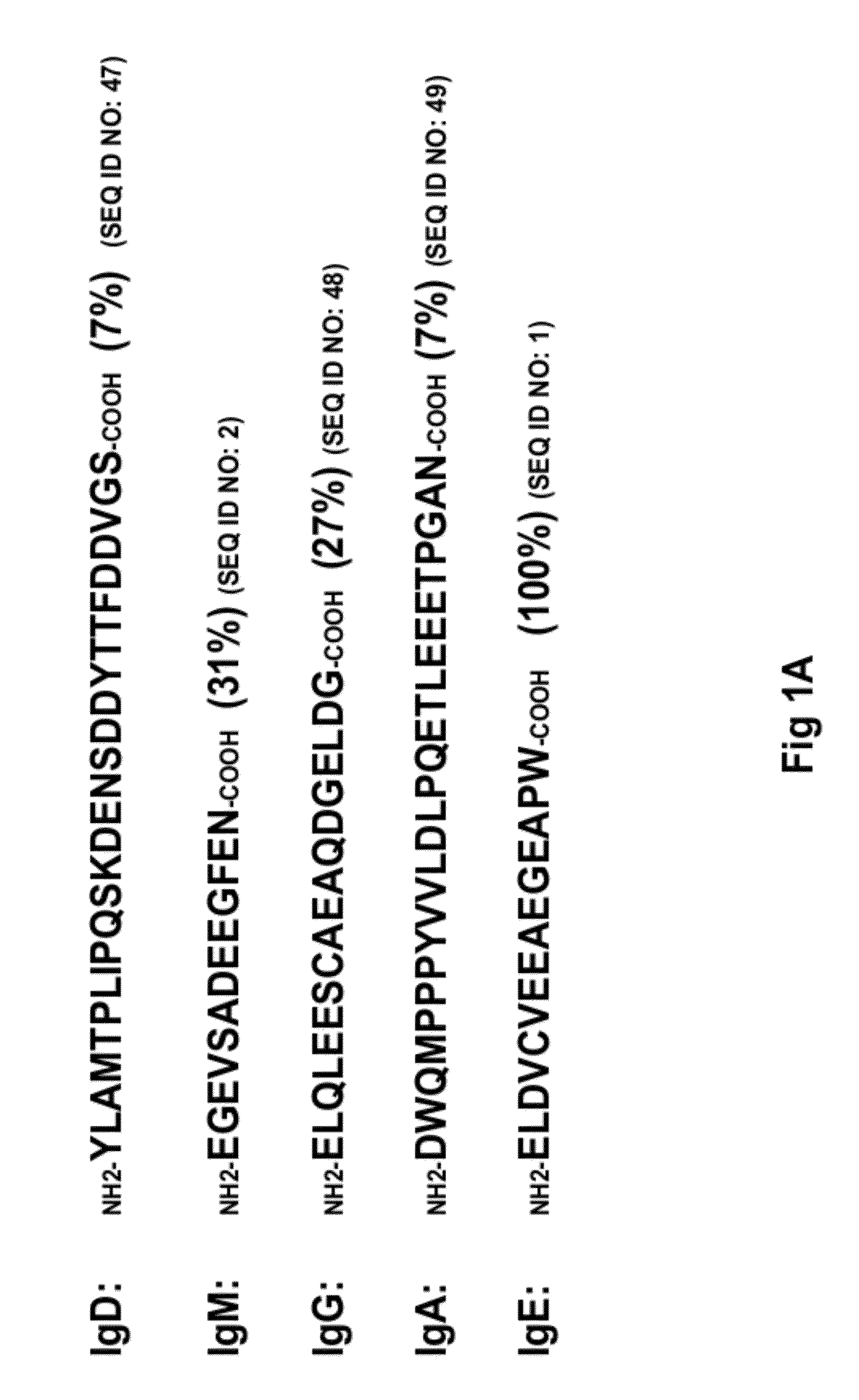 Method Of Identifying Membrane Ig Specific Antibodies And Use Thereof For Targeting Immunoglobulin-Producing Precursor Cells