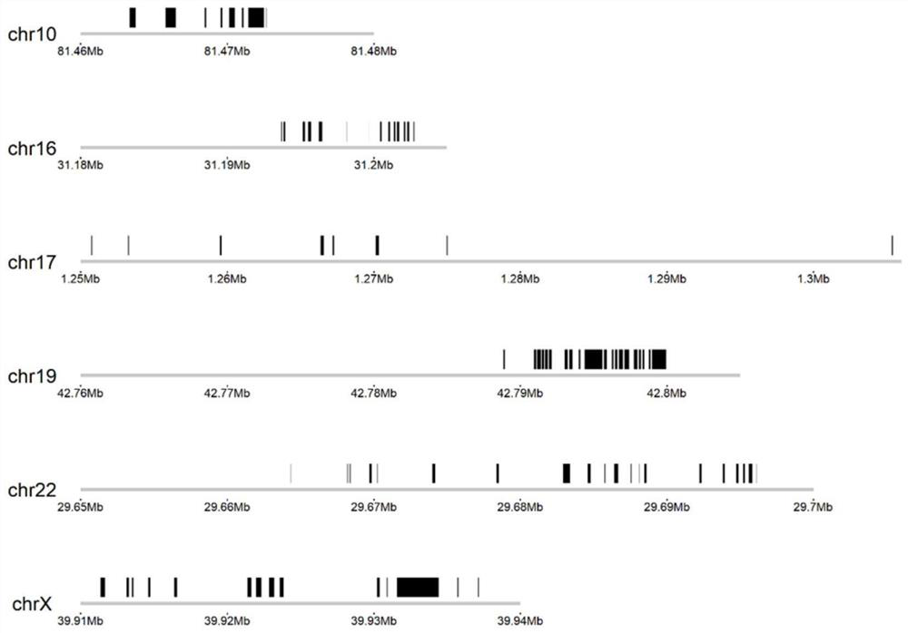 Ewing sarcoma related fusion gene detection probe composition, kit and application thereof