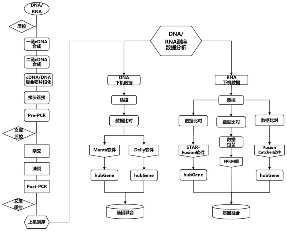 Ewing sarcoma related fusion gene detection probe composition, kit and application thereof