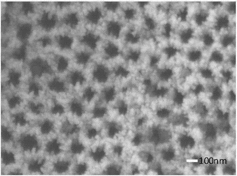 Preparation method of mesoporous silica/titania nanotube array composite