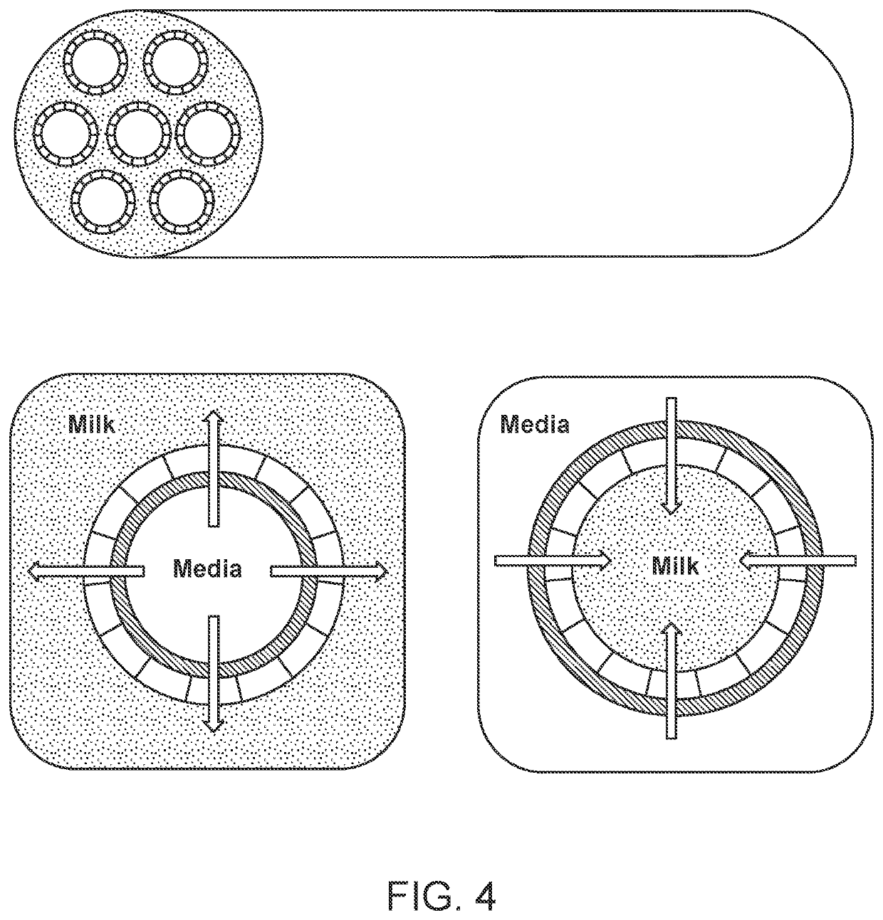 Live cell constructs for production of cultured milk product and methods using the same