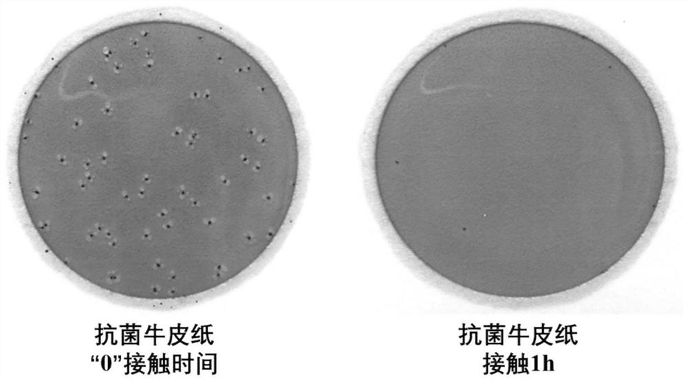 Preparation method of antibacterial packaging paper as well as product and application of antibacterial packaging paper