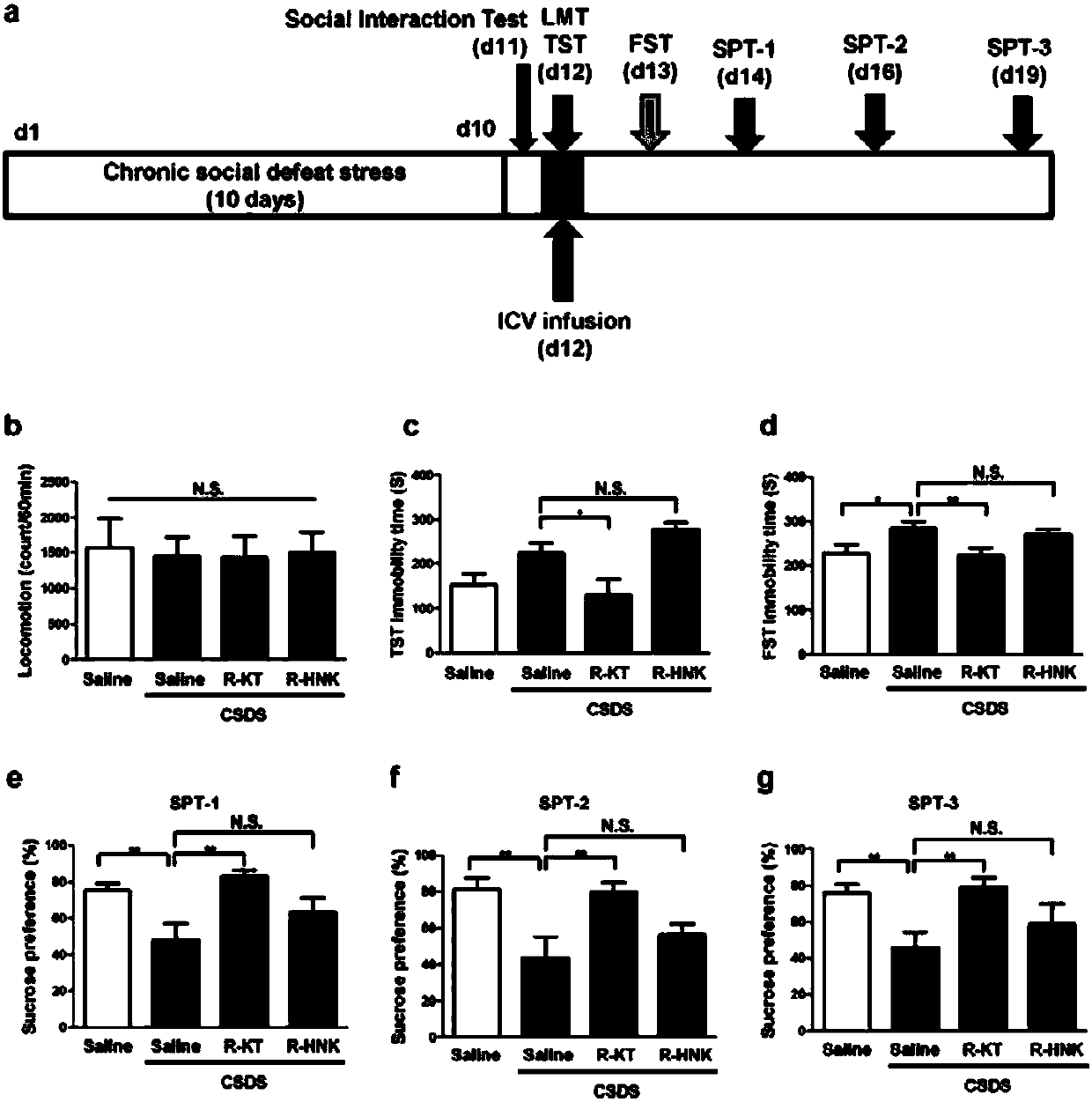 Application of R-ketamine in treatment on depression at acute stage