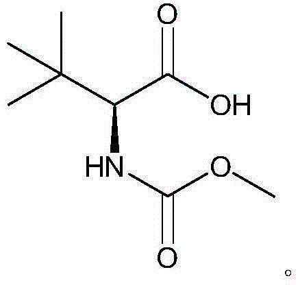 Preparation method of N- methoxycarbonyl group-L-tertiary leucine