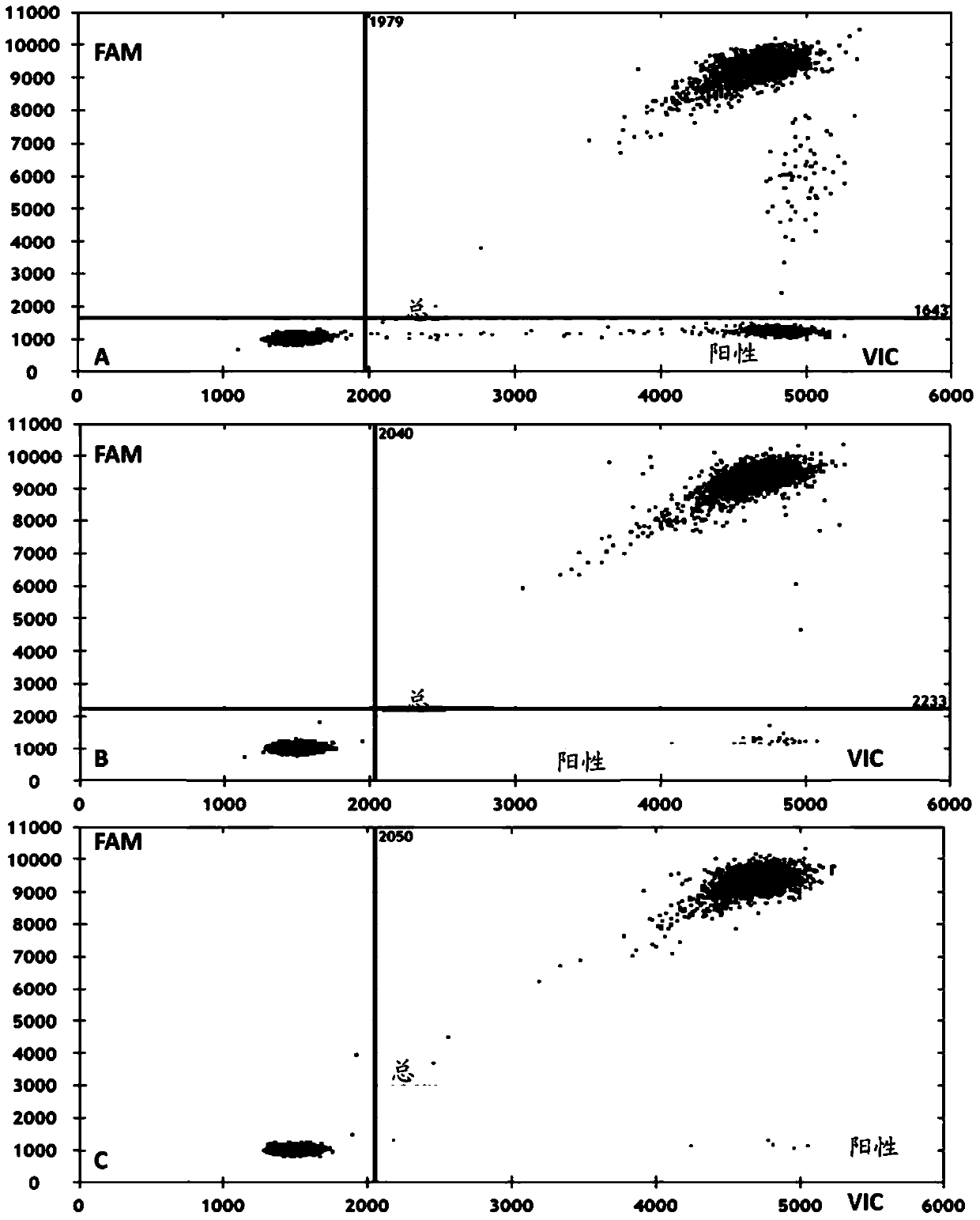 Primers, probes and kits for detecting egfr and/or k-ras gene mutations