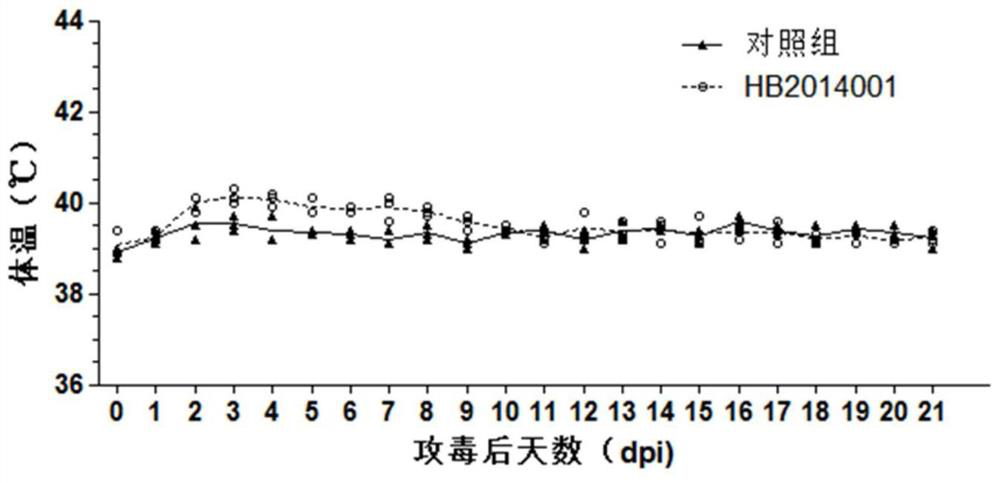 Low pathogenic porcine reproductive and respiratory syndrome virus, vaccine and its application