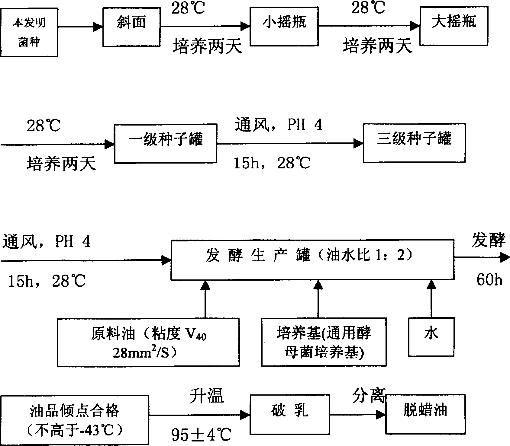 Trichosporon and its use in petroleum refinement