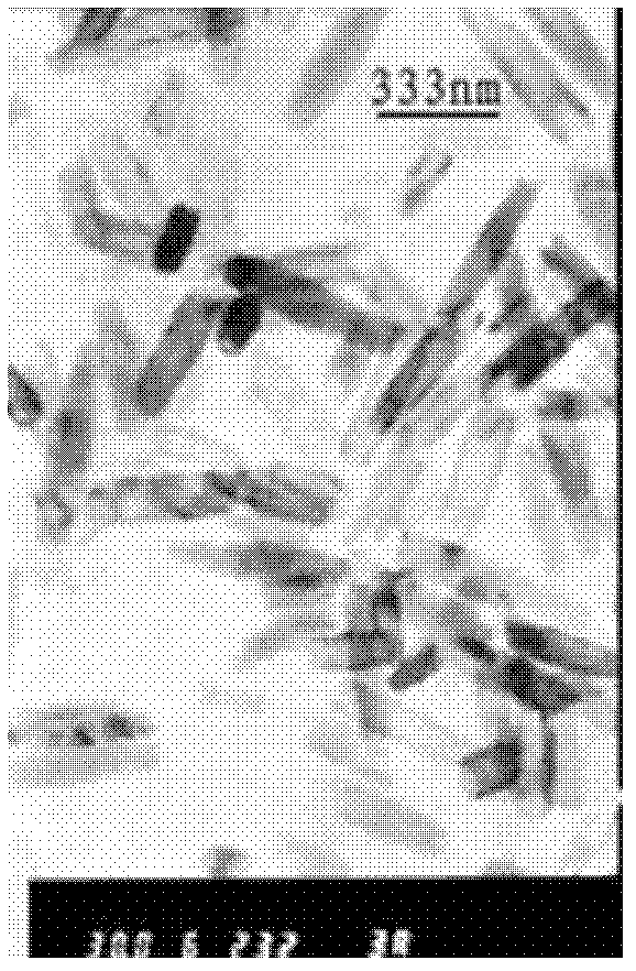 Preparation method for headspace iron trioxide and polypyrrole composite electrode material