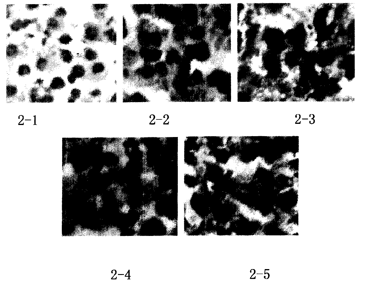 Fusion protein capable of inducing and activating cancer targeting T-cells as well as preparation method and application of the fusion protein