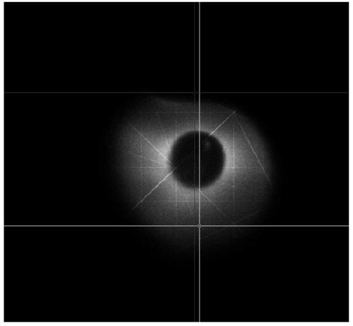 High-sensitivity coronagraph stray light detection device