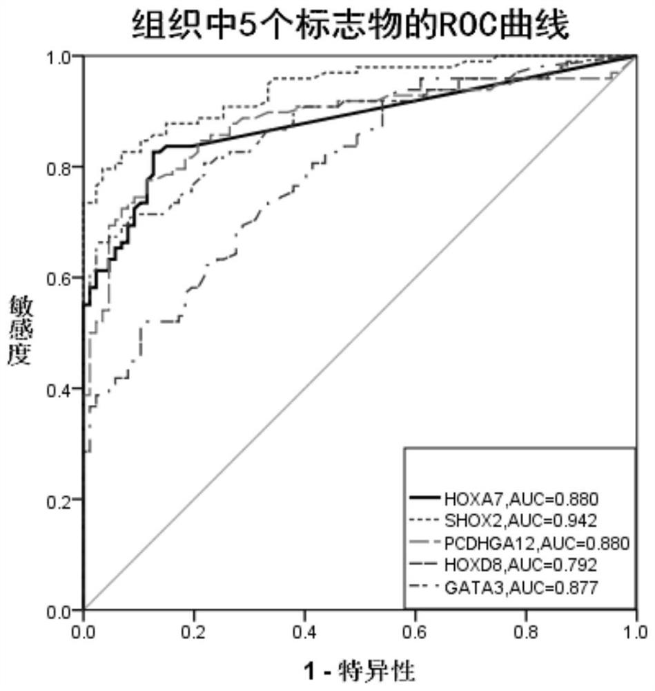 Application of hoxa7 methylation detection reagent in the preparation of lung cancer diagnostic reagent