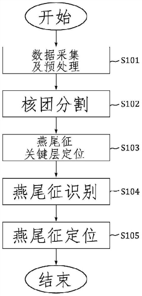 Black plastid-1 sign automatic identification method and system of multi-task neural network based on multi-echo GRE sequence