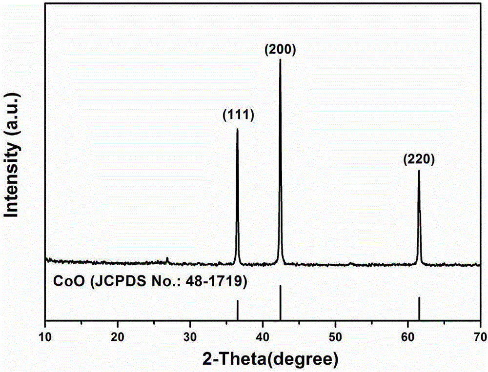 Preparation method of Super P/CoO self-assembled porous nano rodlike composite negative electrode material for lithium-ion battery