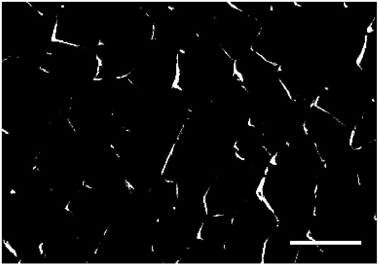 Preparation method, product and application of radiation-proof porous fiber with oriented pore structure