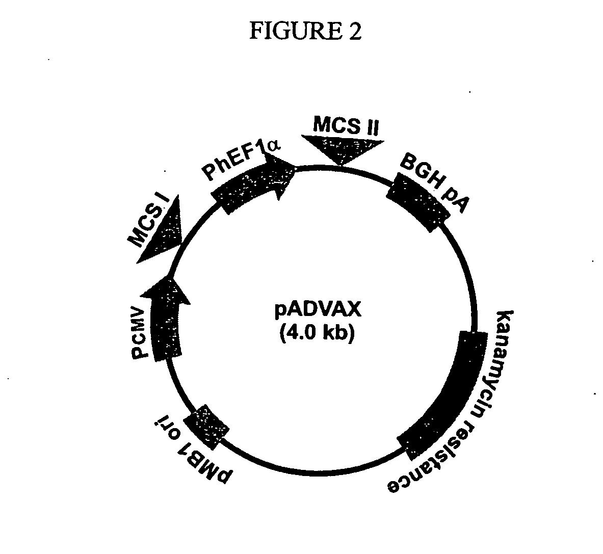 Methods and compositions for immunization against hiv