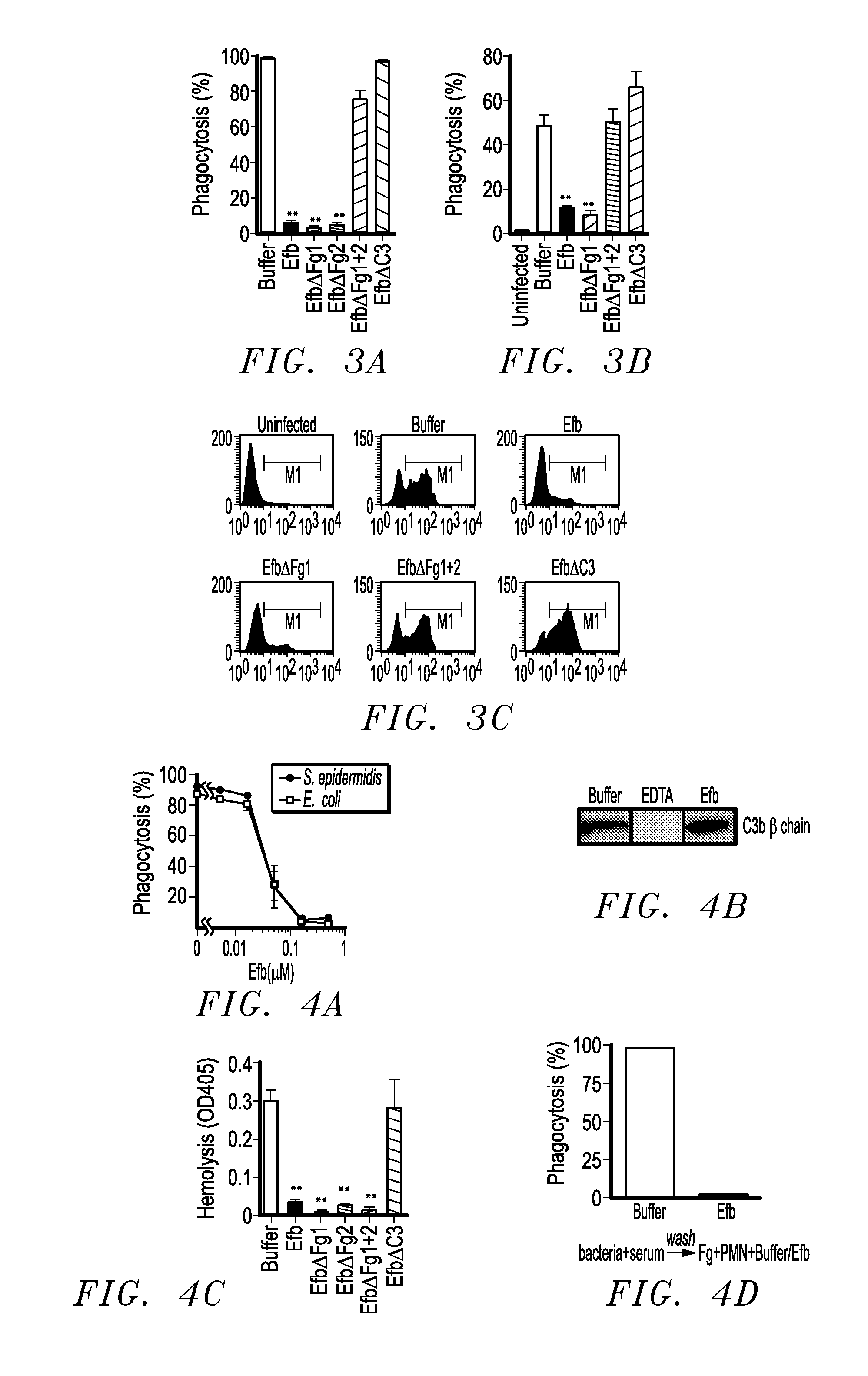 Compositions and the Use of Fibrinogen Binding Motif Presence in EFB and COA for Vaccine Against Staphylococcus Aureus and Drug Delivery