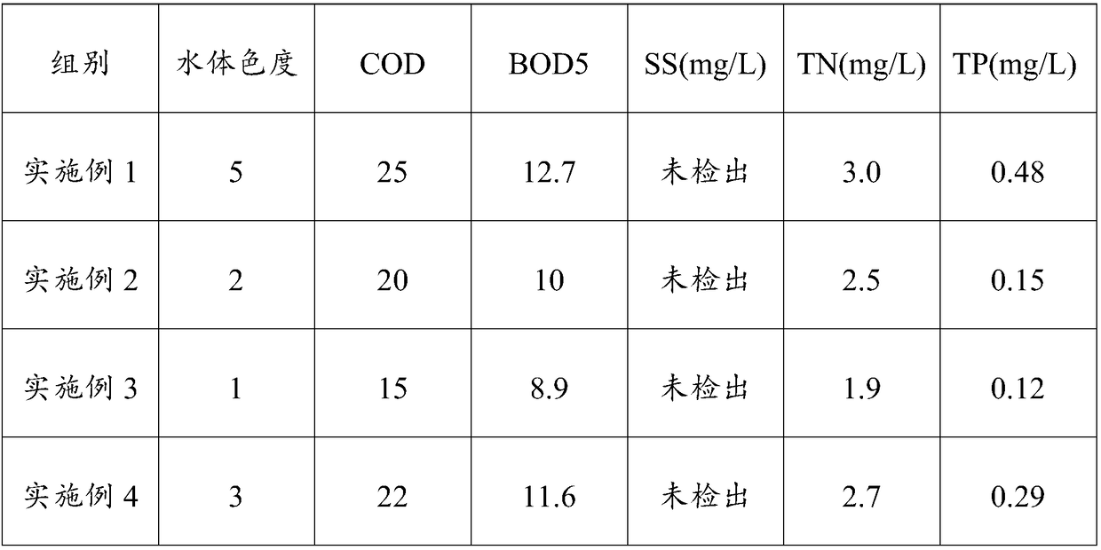 Biological enzyme purifying agent for treating black-odor river and preparation method thereof