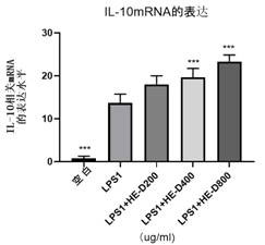 Application of peptides in regulating the transformation of macrophages in vitro