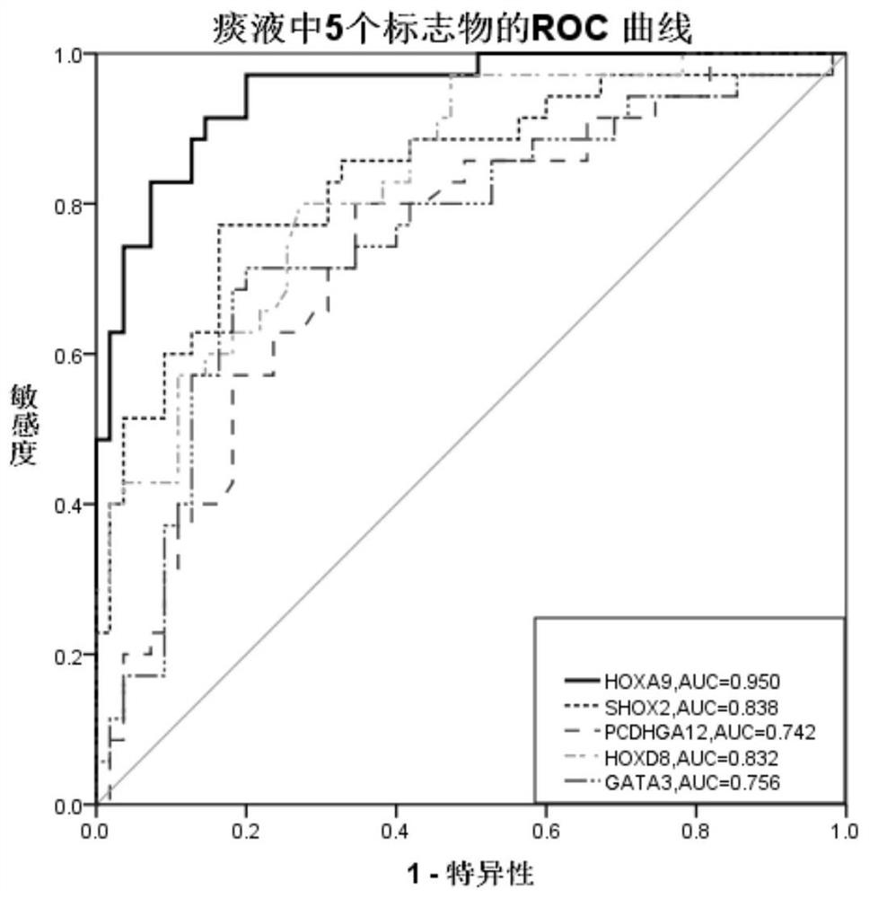Application of hoxa9 methylation detection reagent in the preparation of lung cancer diagnostic reagent