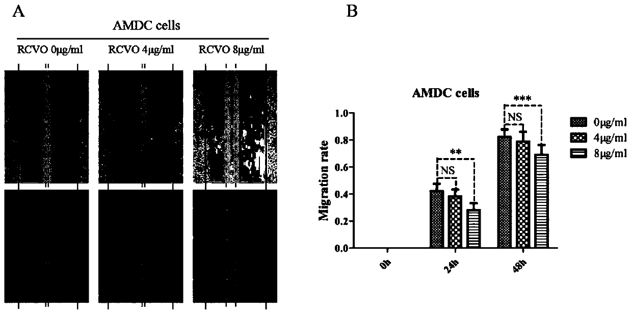 Application of cassia-twig rhizome-paridis resina-draconis extract in preparation of medicine for treating adenomyosis