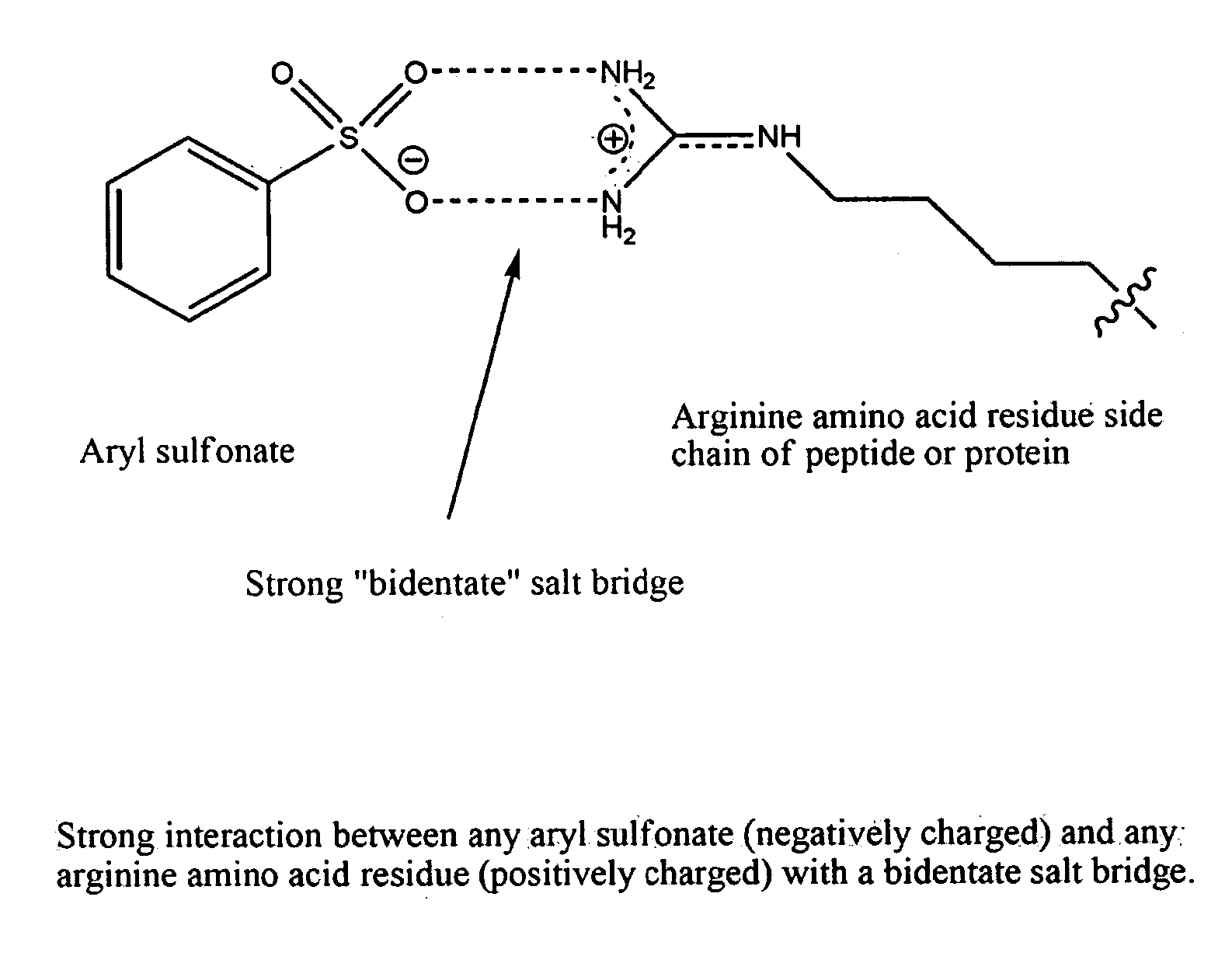 Sulfonyl Cyanine Dyes and Derivatives