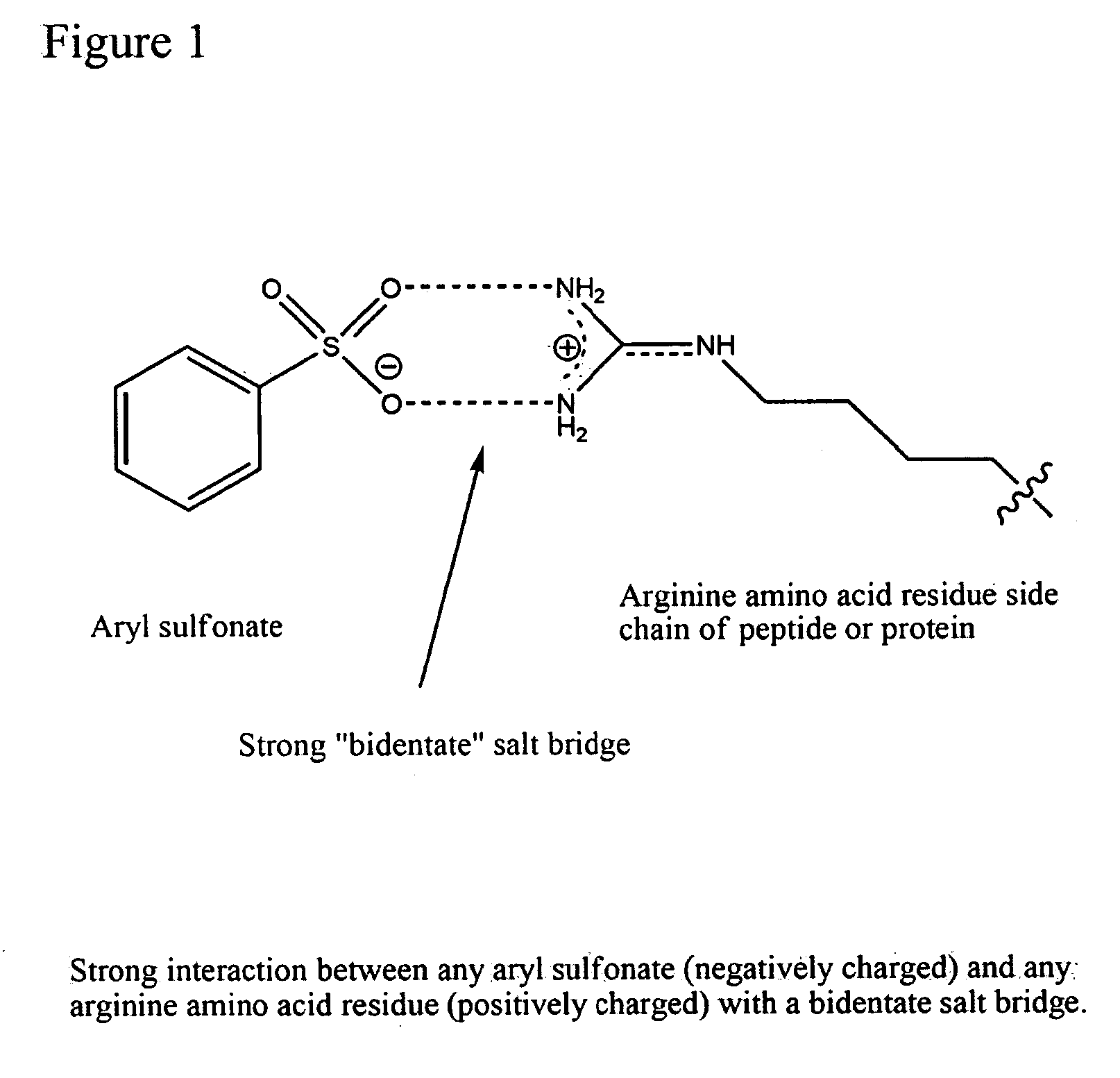 Sulfonyl Cyanine Dyes and Derivatives
