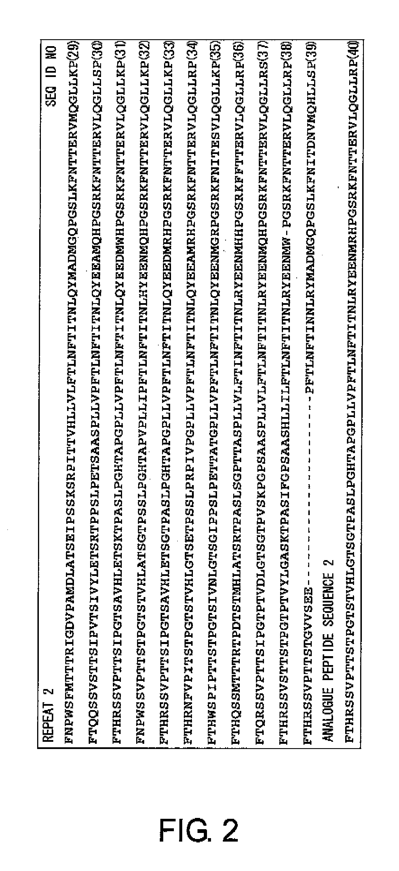 Cancer-associated antigen analogue peptides and uses thereof