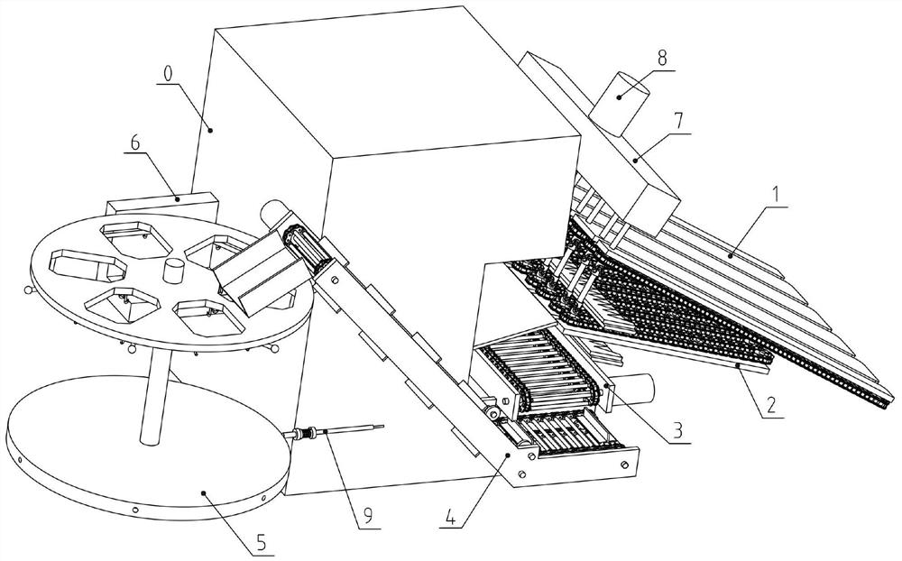 Conveying and bagging system for garlic harvesting equipment