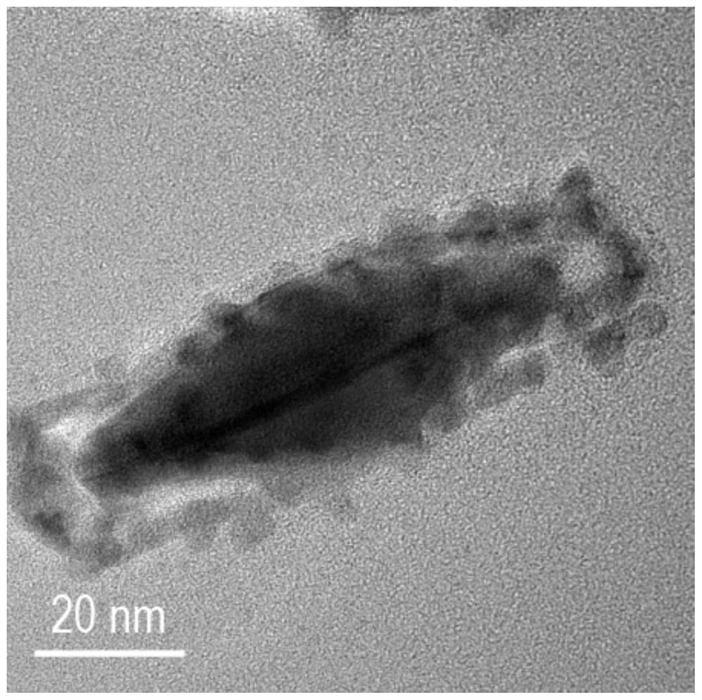 A metal nanoframe with an array structure and its preparation method and application