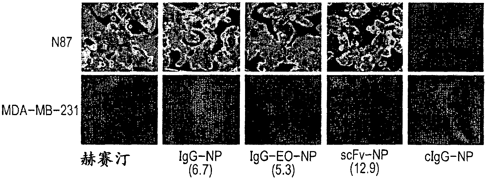 Contrast agent for photoacoustic imaging and photoacoustic imaging method utilizing same