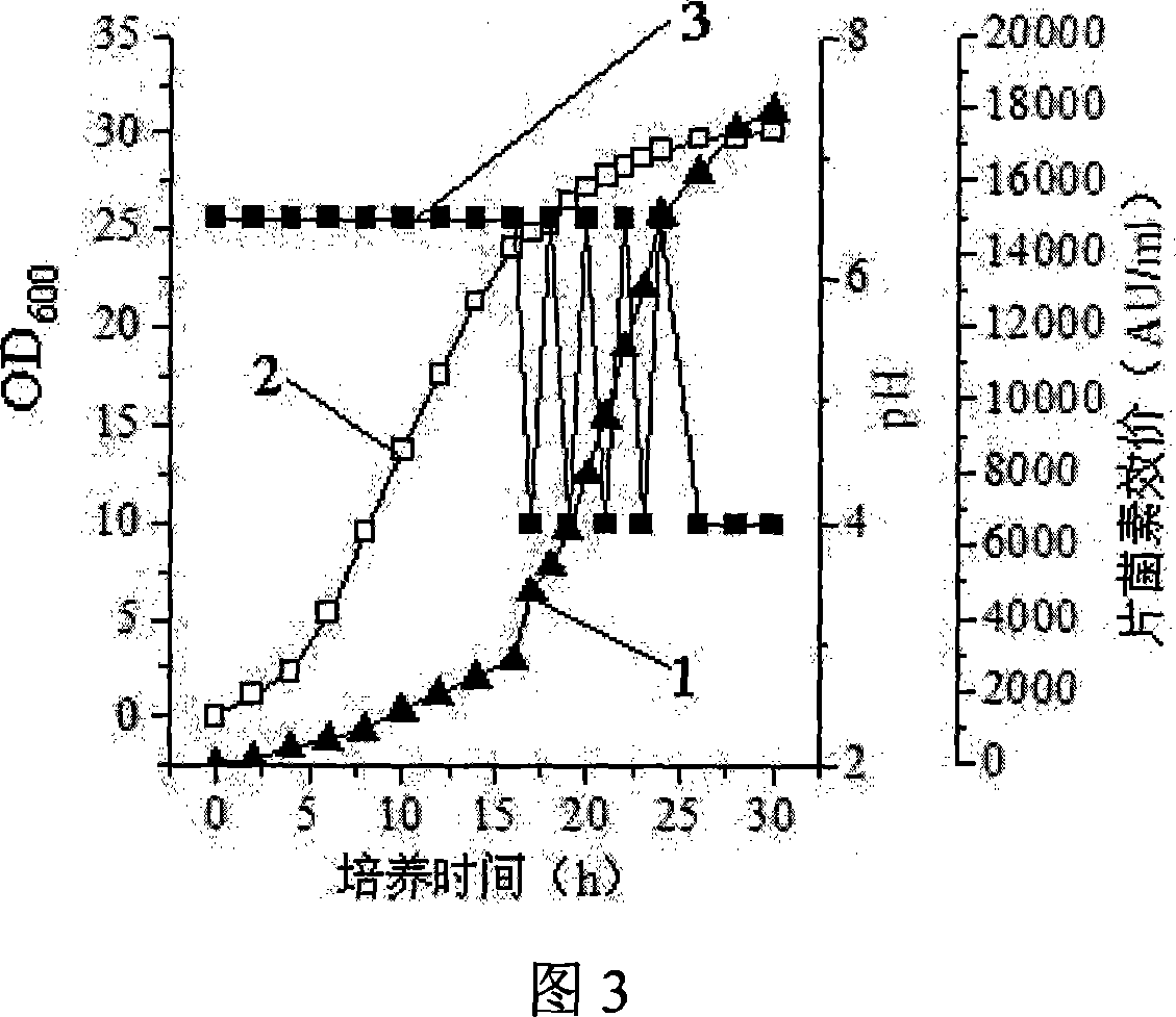 Method for producing bacterial strain of Pediococcus acidilactici, and bacterin of Pediococcus acidilactici