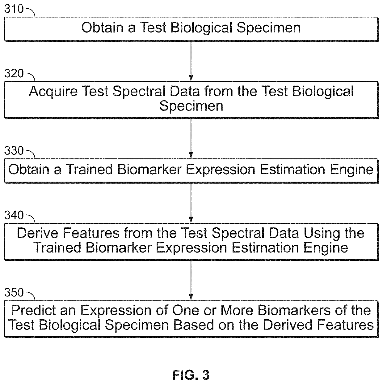 Label-free assessment of biomarker expression with vibrational spectroscopy