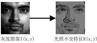 LBP (Local Binary Pattern) face recognition method for eliminating illumination evenness