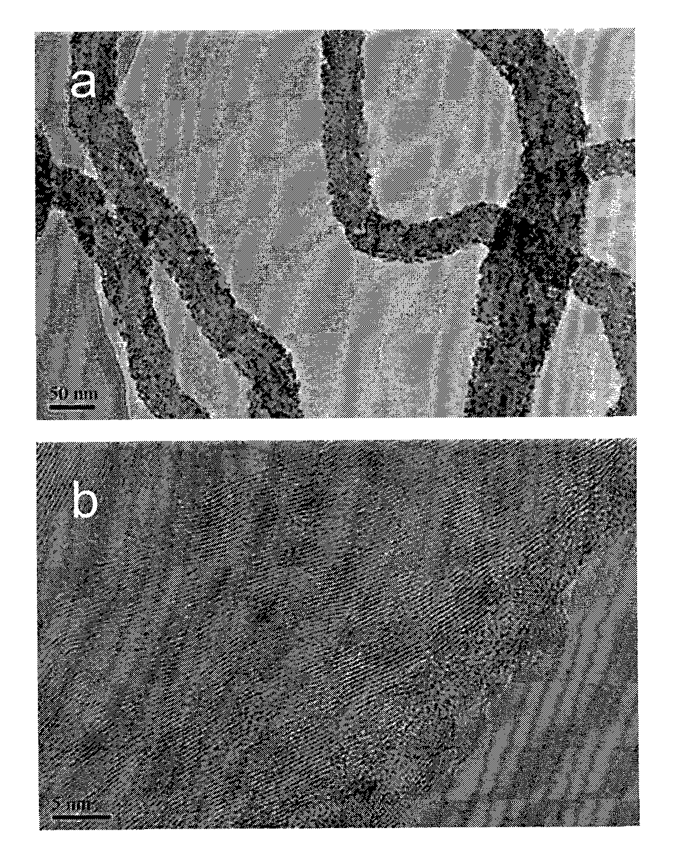 Carbon nanotube/cadmium selenide quantum dot nano composite material and preparation method thereof